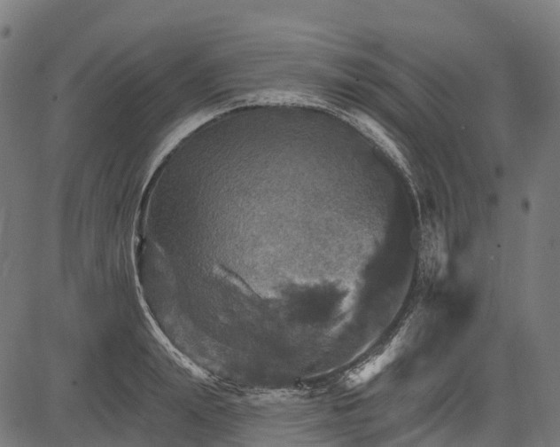 X0000084520847200703091600