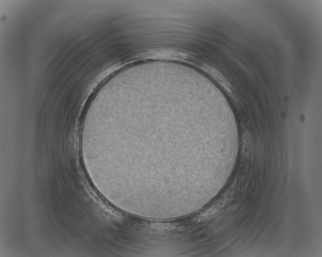 X0000084520848200703091600