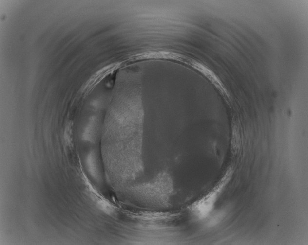 X0000084520849200703091600