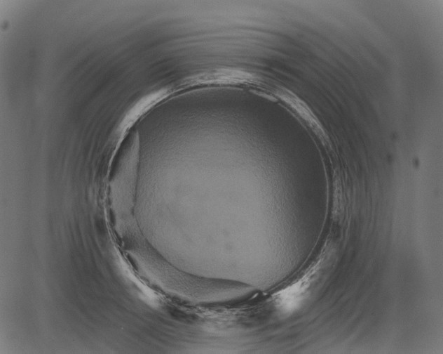 X0000084520850200703091600