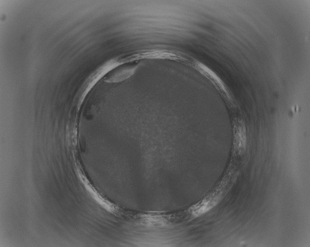 X0000084520852200703091600