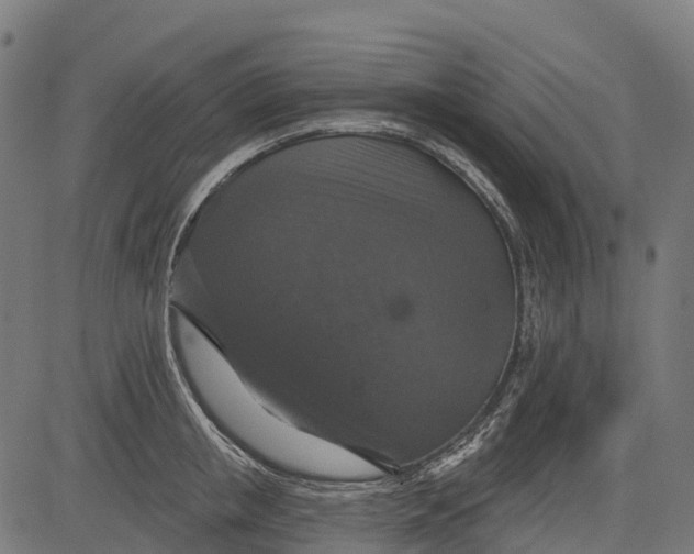 X0000084520853200703091600