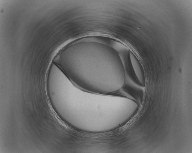 X0000084520854200703091600