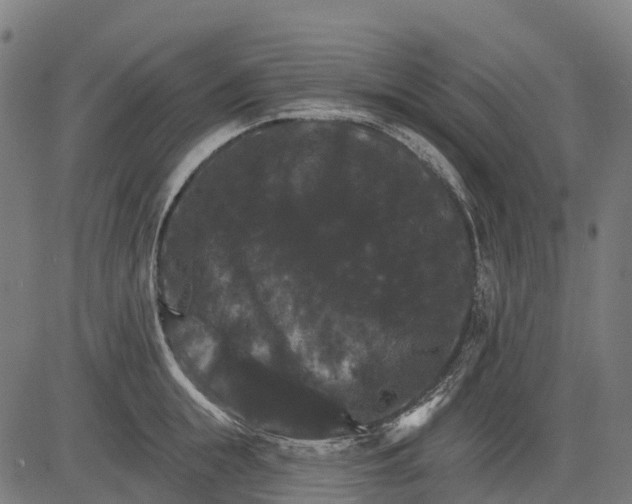 X0000084520855200703091600