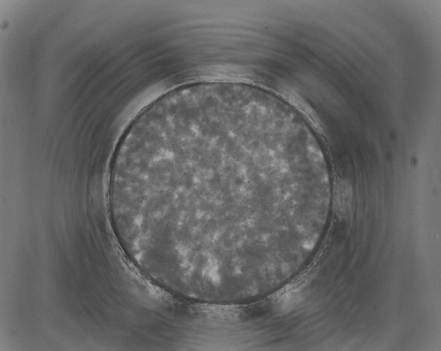 X0000084520856200703091600