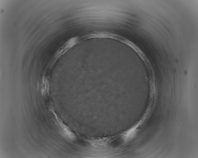 X0000084520857200703091600