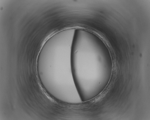 X0000084520858200703091600