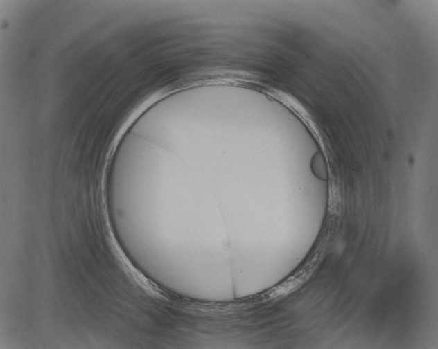 X0000084520859200703091600