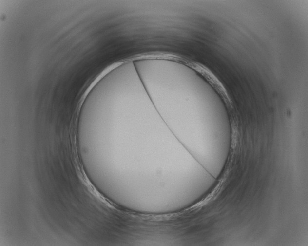 X0000084520860200703091600