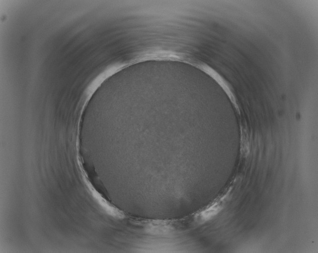 X0000084520861200703091600