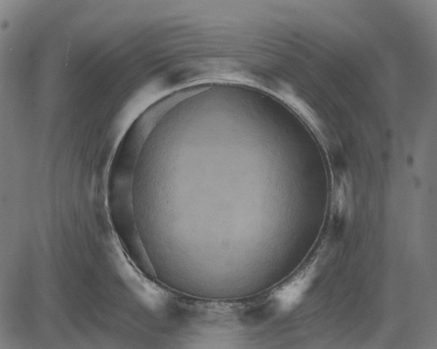 X0000084520862200703091600