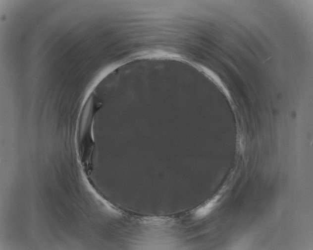 X0000084520863200703091600