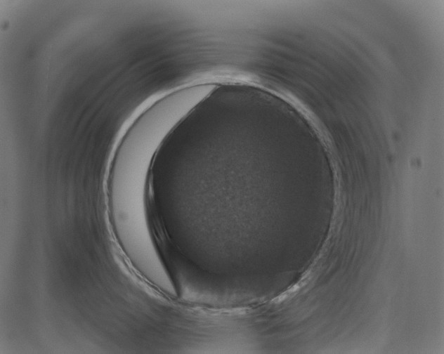 X0000084520864200703091600