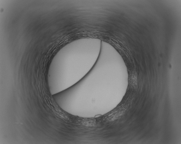 X0000084520865200703091559