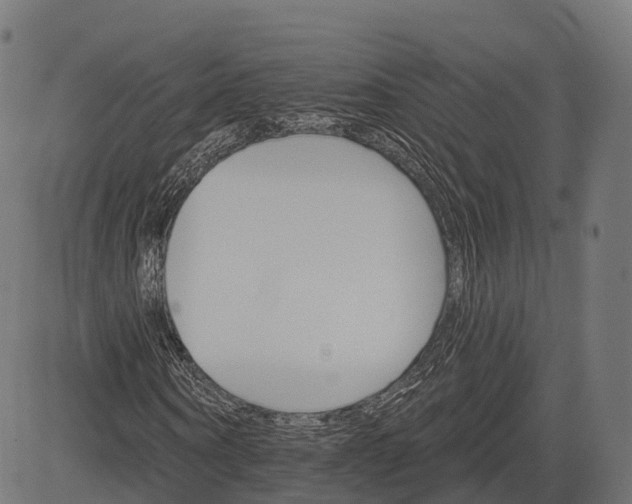 X0000084520866200703091559