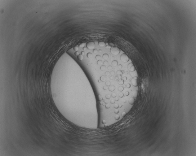 X0000084520867200703091559