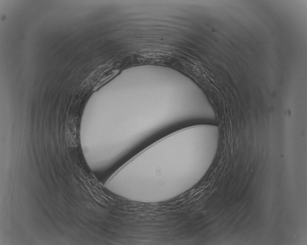 X0000084520868200703091559