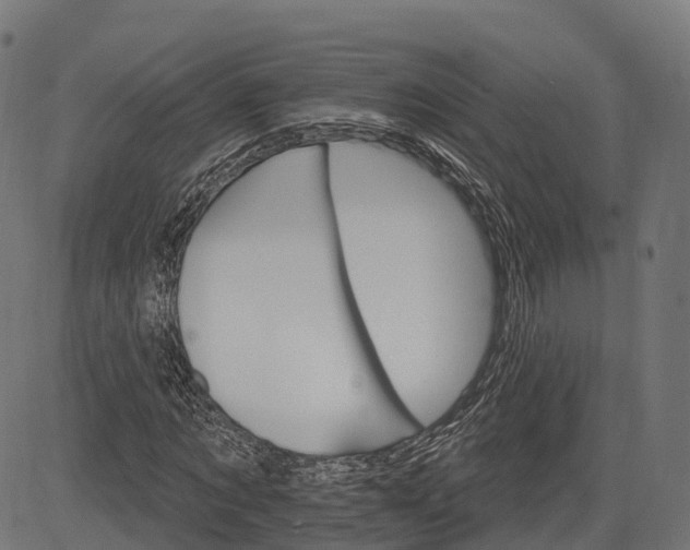 X0000084520869200703091559