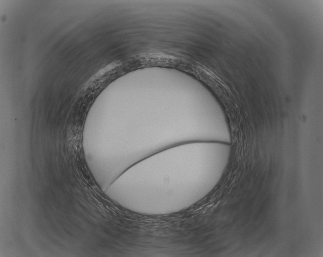 X0000084520870200703091559