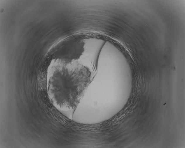 X0000084520871200703091559