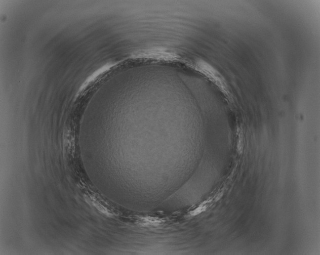 X0000084520872200703091559