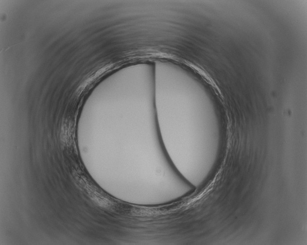 X0000084520873200703091559