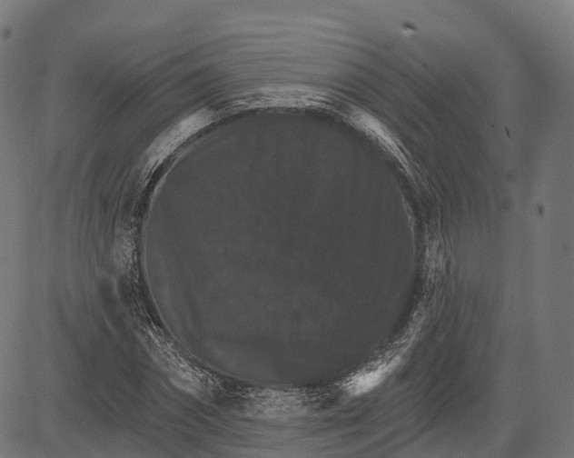 X0000084520874200703091559