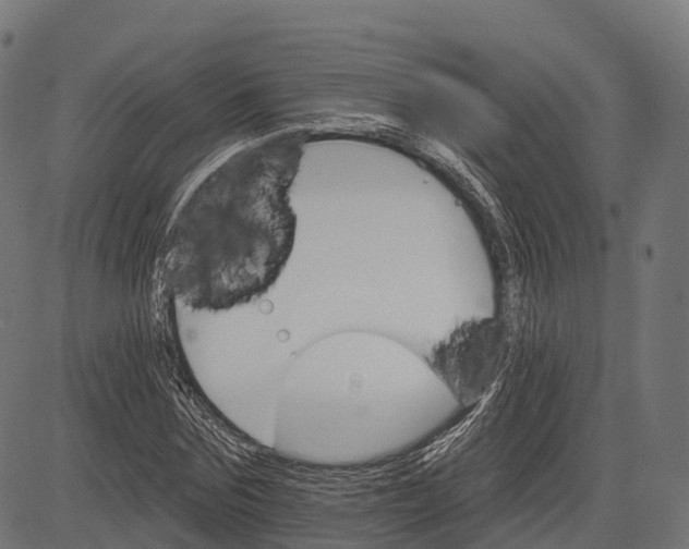 X0000084520875200703091559