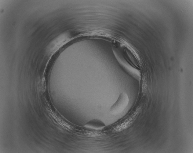 X0000084520876200703091559