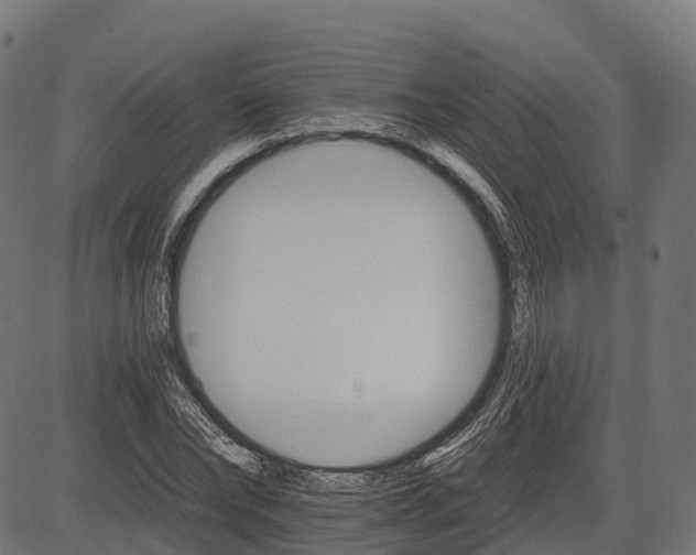 X0000084520878200703091559