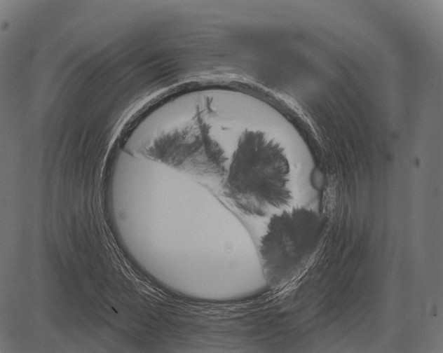 X0000084520879200703091559