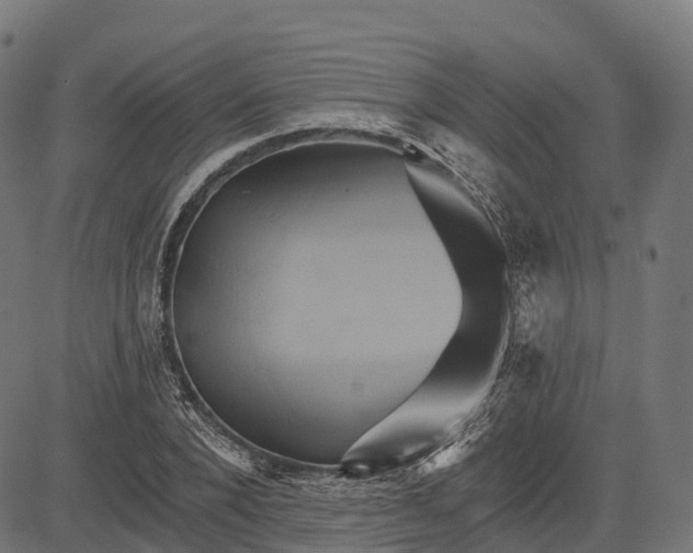 X0000084520880200703091559