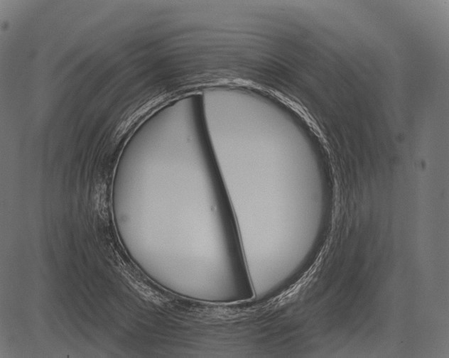 X0000084520881200703091559