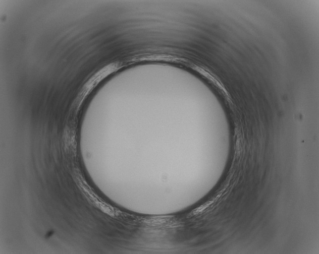 X0000084520882200703091559