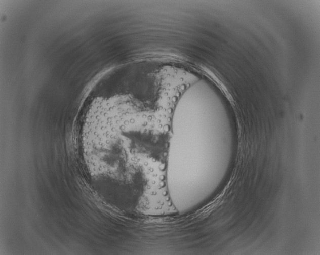 X0000084520883200703091559