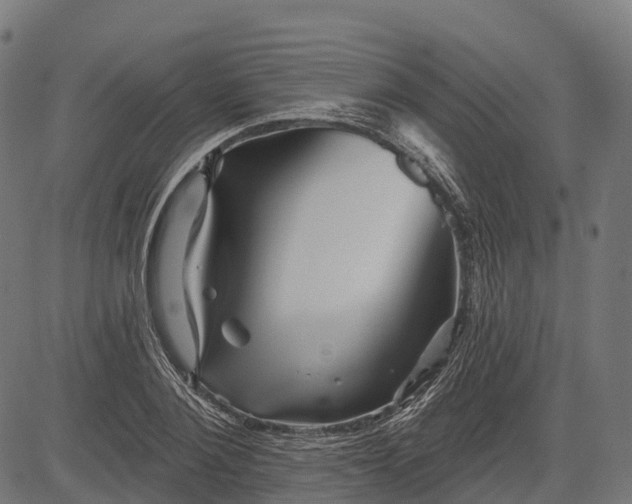 X0000084520884200703091559