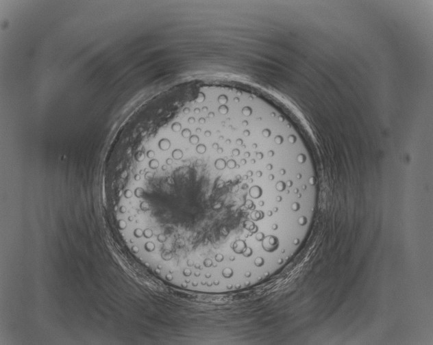 X0000084520887200703091559