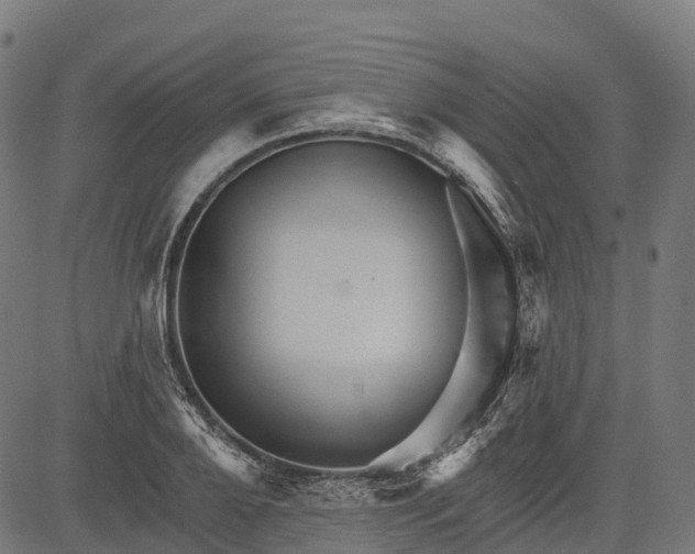 X0000084520888200703091559