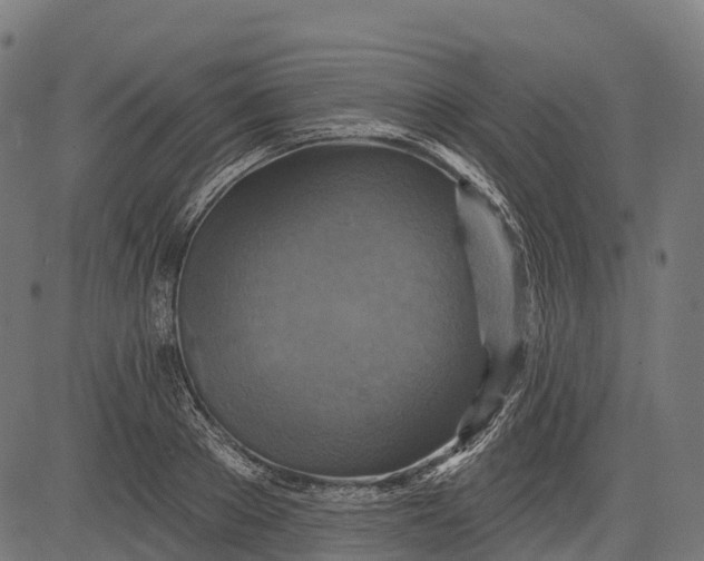 X0000084520889200703091559