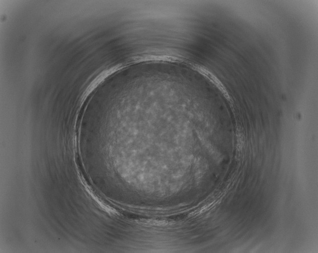 X0000084520890200703091559