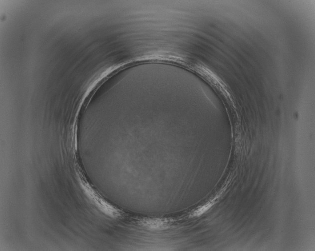 X0000084520892200703091559