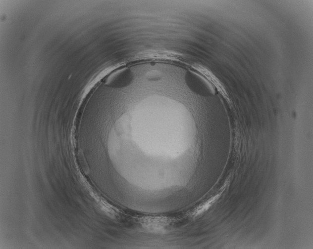 X0000084520893200703091559