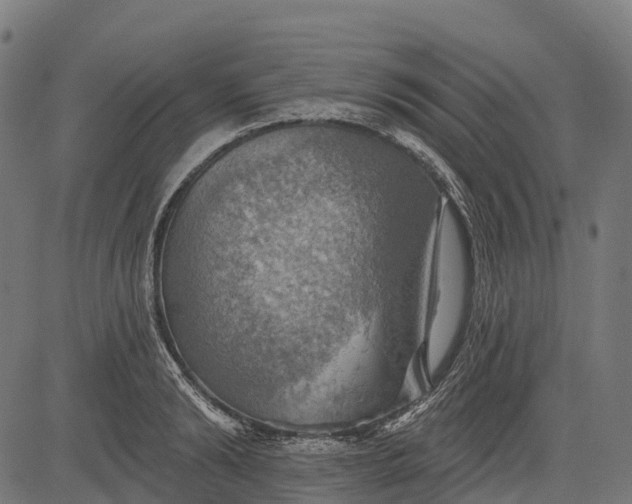 X0000084520894200703091559