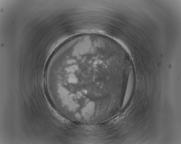 X0000084520895200703091559