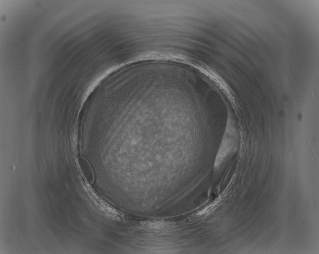 X0000084520896200703091559