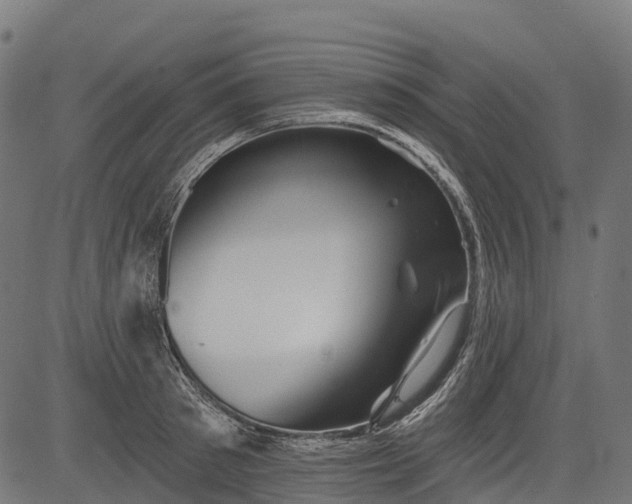 X0000084520897200703091559