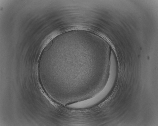 X0000084520898200703091559