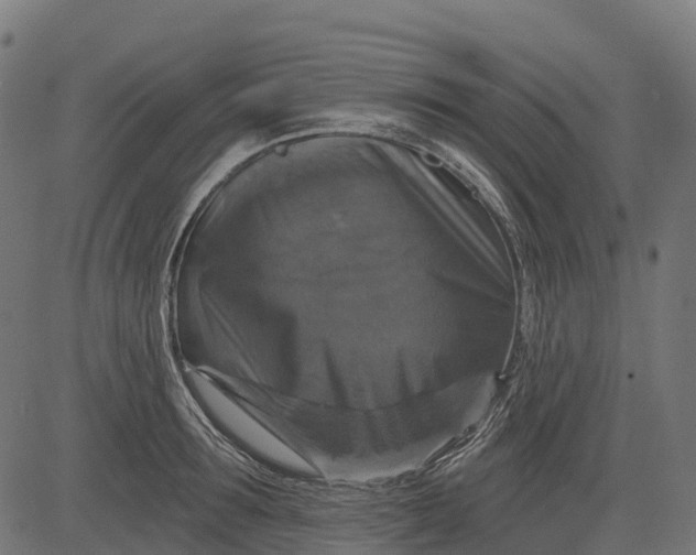 X0000084520899200703091559