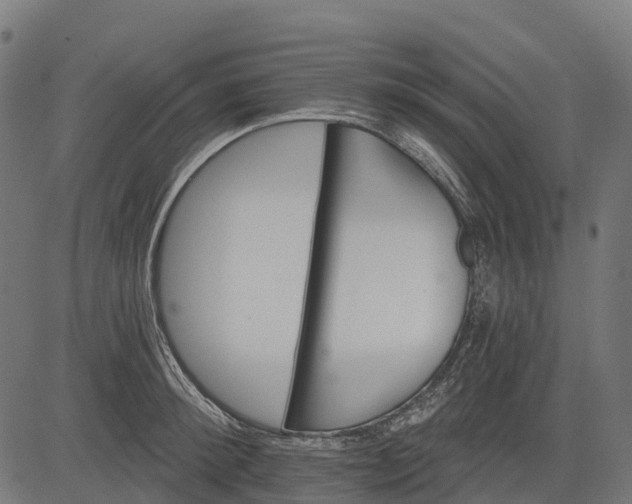 X0000084520900200703091559