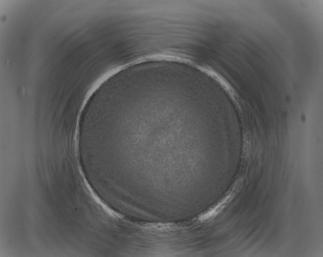 X0000084520902200703091559